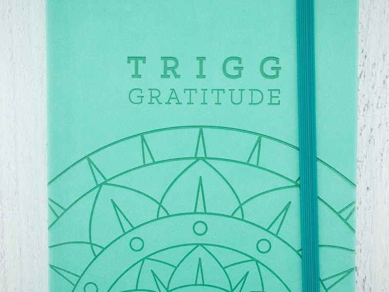 Notebook Review: Trigg Gratitude Journal